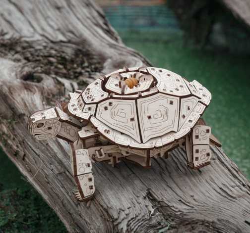 3D model želvy