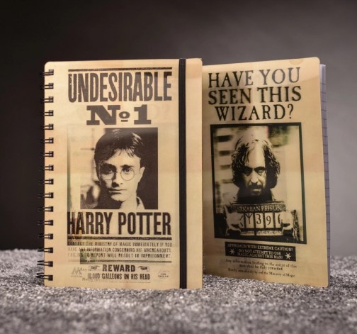 CurePink 3D proměňovací A5 blok-zápisník Harry Potter: Sirius & Harry 14