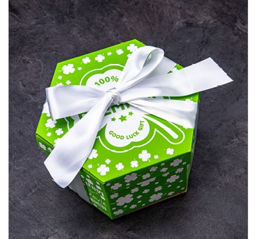 Ozdobná bílá mašle na Giftboxeo - Čtyřlístek