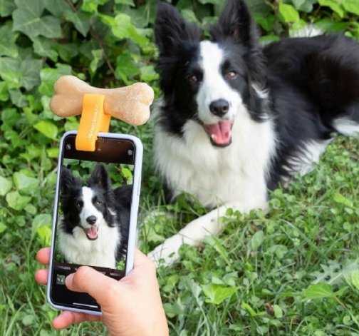 Selfie pomocník na focení domácích mazlíčků