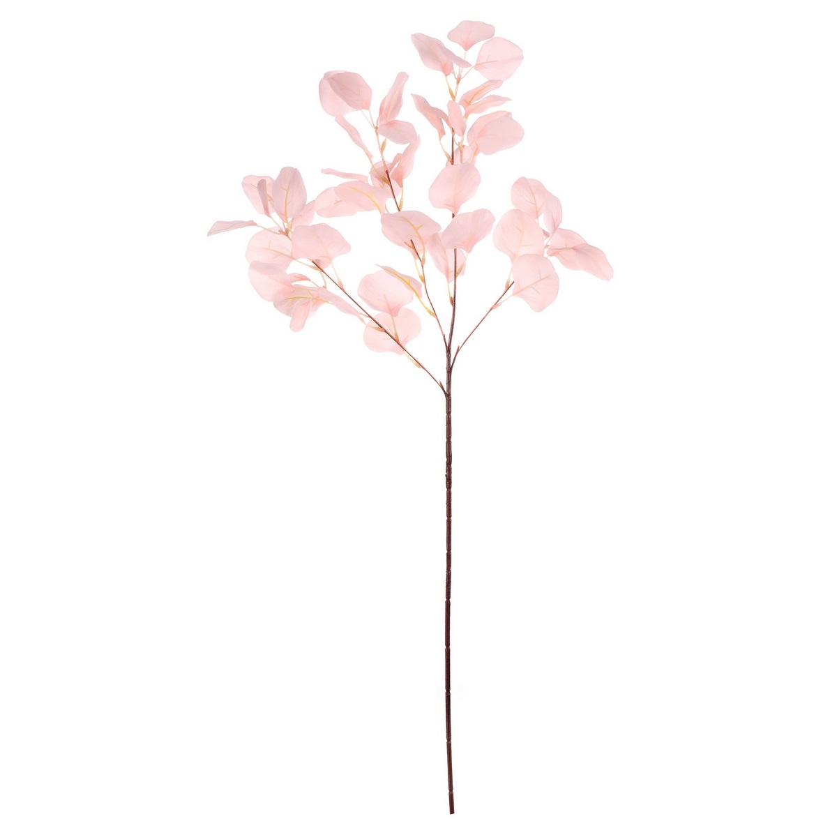 PRODUCT1}