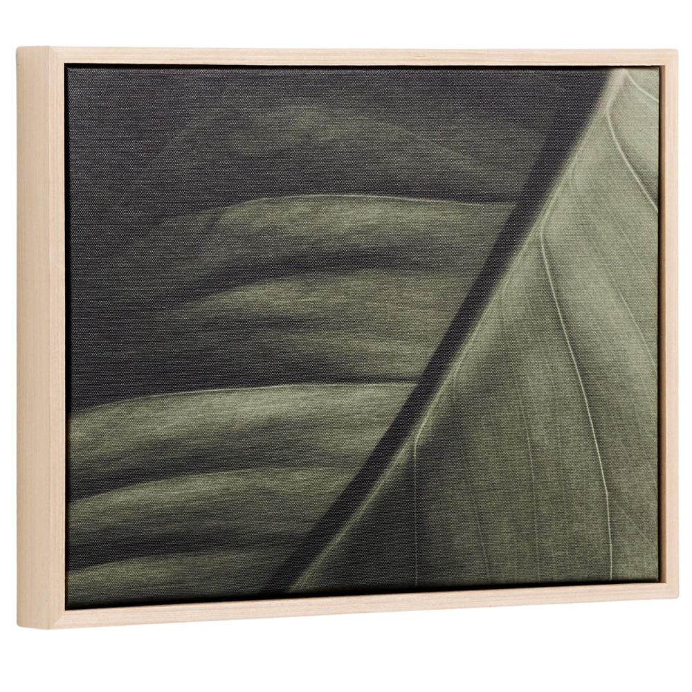 Kave Home Foto-obraz Foliae 30 x 40 cm
