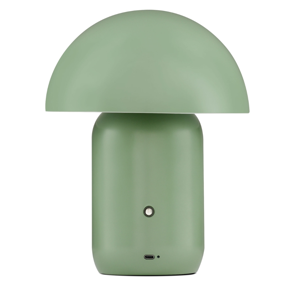 Nova Luce Zelená kovová nabíjecí stolní LED lampa Pois