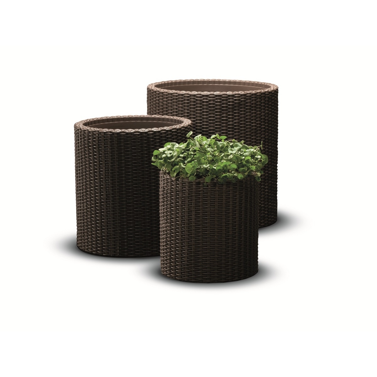 PRODUCT1}