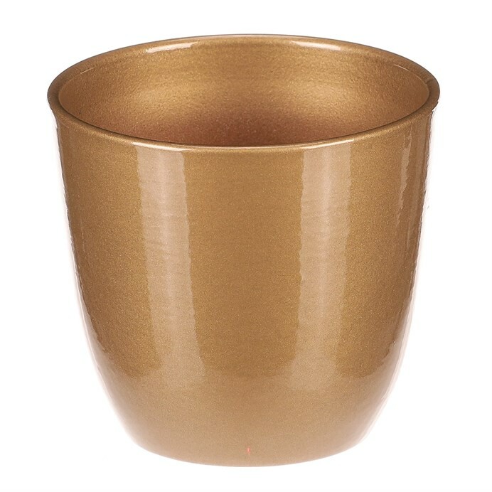PRODUCT1}