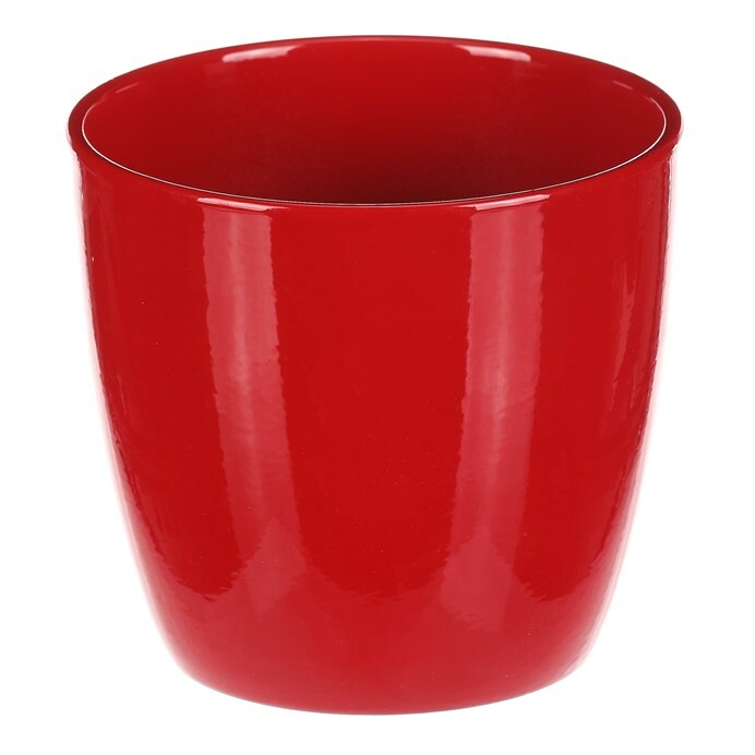 PRODUCT1}