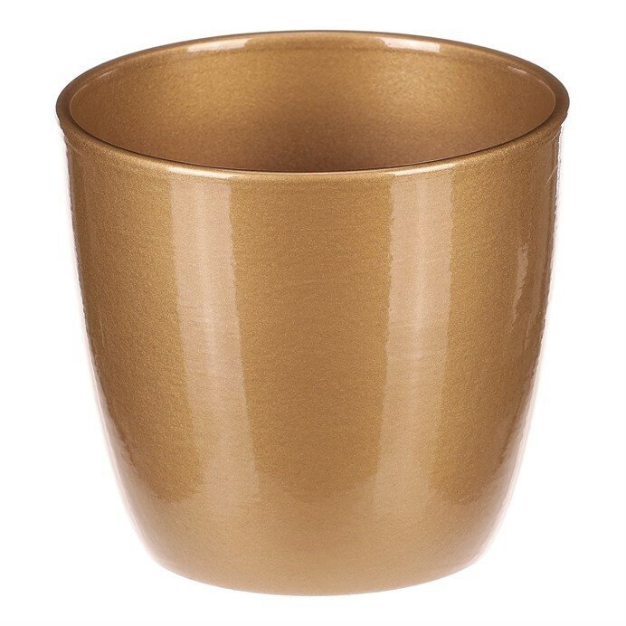 PRODUCT1}